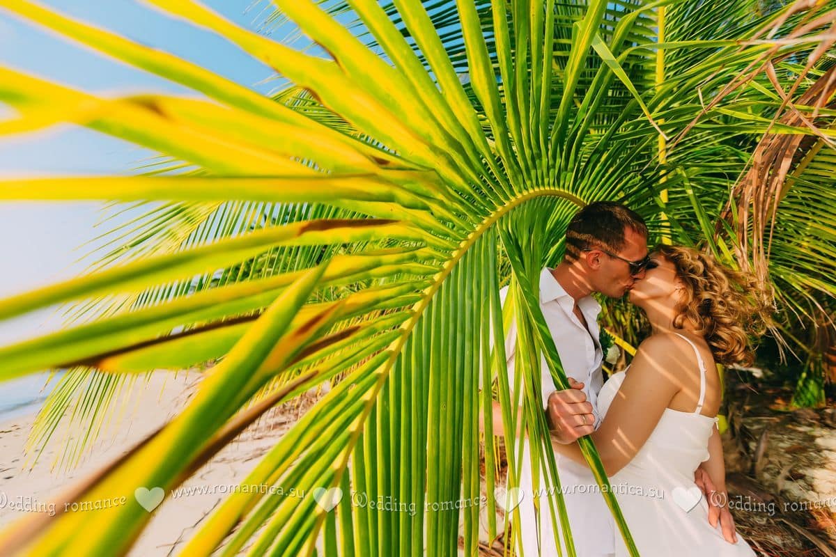 Reviews Wedding and Event Planner in Thailand. Hua Hin, Samui and Chang Islands and others