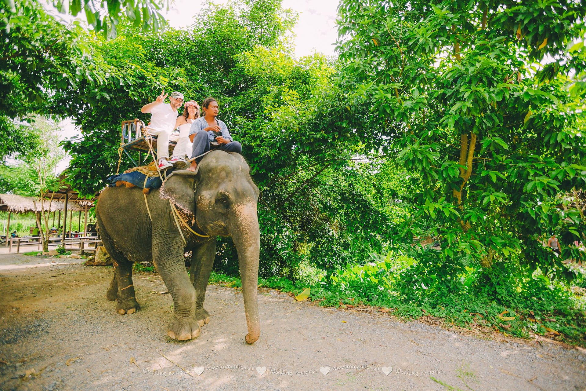 Reviews Wedding and Event Planner in Thailand. Hua Hin, Samui and Chang Islands and others