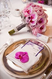 Orchids