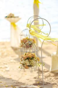 Hochzeitsdekoration auf Samui Hochzeits- und Eventplaner in Thailand. Hua Hin, Samui, Chang und andere sableVbI8kY