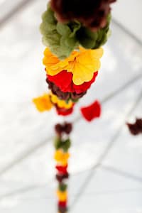 Heidi!$!Zayne-9$!400x