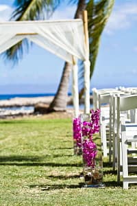 Сиреневый 2