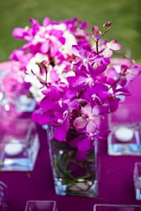 Сиреневый 3