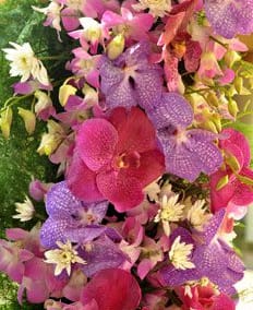 La fleuristerie de mariage est un art unique dans lequel le créateur comprend l'âme des fleurs, leur essence, révélant la beauté et l'unicité de chaque création naturelle.