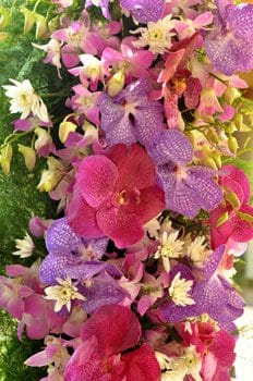 Musique de fleurs de mariage