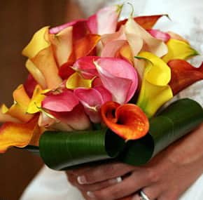 Fleuriste de mariage