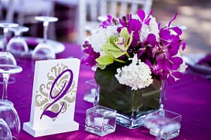 фиолетовый_2