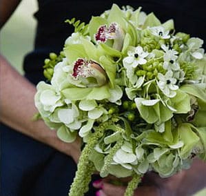 Нежные, хрупкие и красивые цветы — непременный и важный атрибут оформления любой свадьбы в Тайланде, Индонезии или Малайзии. Удачное и эффектное флористическое оформление создаст на свадьбе особую атмосферу — непередаваемо романтичную и трогательную.