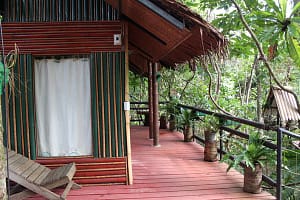 Предлагаем влюбленным отойти от традиционных мест и сценариев свадьбы. Теперь ваше обручение может превратиться в увлекательное приключение, наполненное непревзойденной романтикой и духом авантюризма. Пусть ваша свадьба будет как у Тарзана, среди ветвей лиан в тропических джунглях.