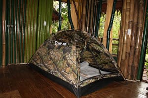 Предлагаем влюбленным отойти от традиционных мест и сценариев свадьбы. Теперь ваше обручение может превратиться в увлекательное приключение, наполненное непревзойденной романтикой и духом авантюризма. Пусть ваша свадьба будет как у Тарзана, среди ветвей лиан в тропических джунглях.