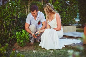 Посадка дерева любви на Самуи