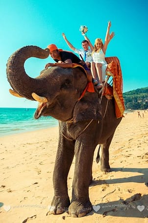 Катание на слоне Организатор свадеб и праздников в Таиланде. Хуахин острова Самуи и Чанг и другие Катание на слоне_2