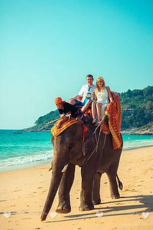 Катание на слоне Организатор свадеб и праздников в Таиланде. Хуахин острова Самуи и Чанг и другие Катание на слоне_3