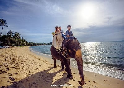 Свадьба в тайском стиле/буддийская свадебная церемония  на Самуи, Пхукете, Чанге.