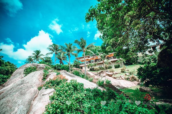 Love&Maxim – Fotosession auf Samui Hochzeits- und Eventplaner in Thailand. Hua Hin, Samui, Chang und andere Samui