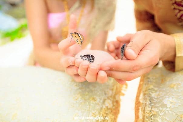 Tropical Butterfly Release Wedding and Event Planner in Thailand. Hua Hin Samui and Chang Islands and others Tropical Butterfly Release 2