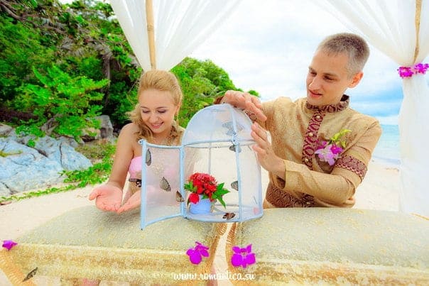 Tropical Butterfly Release Wedding and Event Planner in Thailand. Hua Hin Samui and Chang Islands and others Tropical Butterfly Release 4