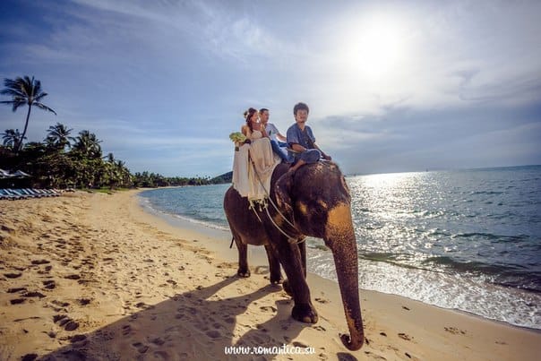 Катание на слоне Организатор свадеб и праздников в Таиланде. Хуахин острова Самуи и Чанг и другие Катание на слоне