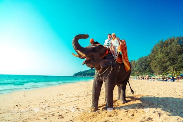Катание на слоне Организатор свадеб и праздников в Таиланде. Хуахин острова Самуи и Чанг и другие Катание на слоне